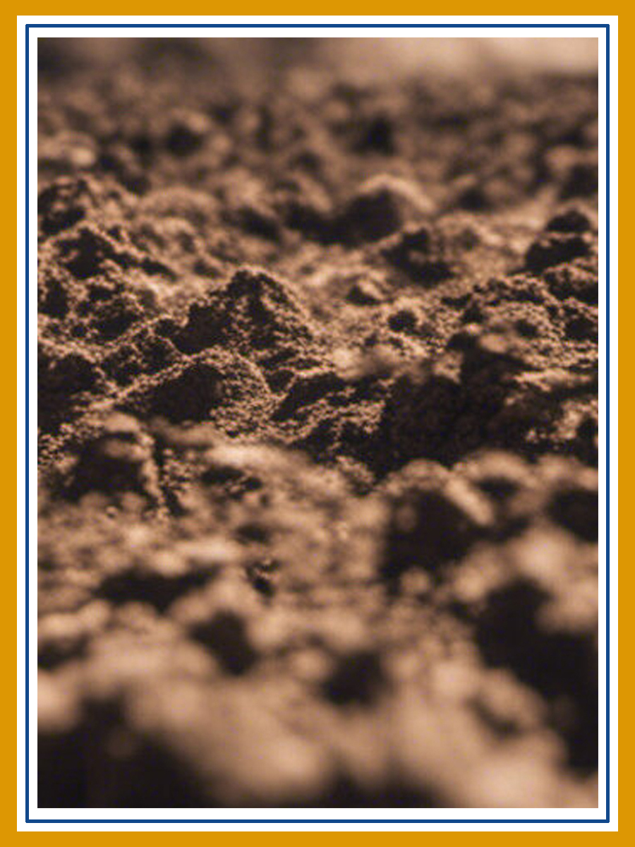 Earth